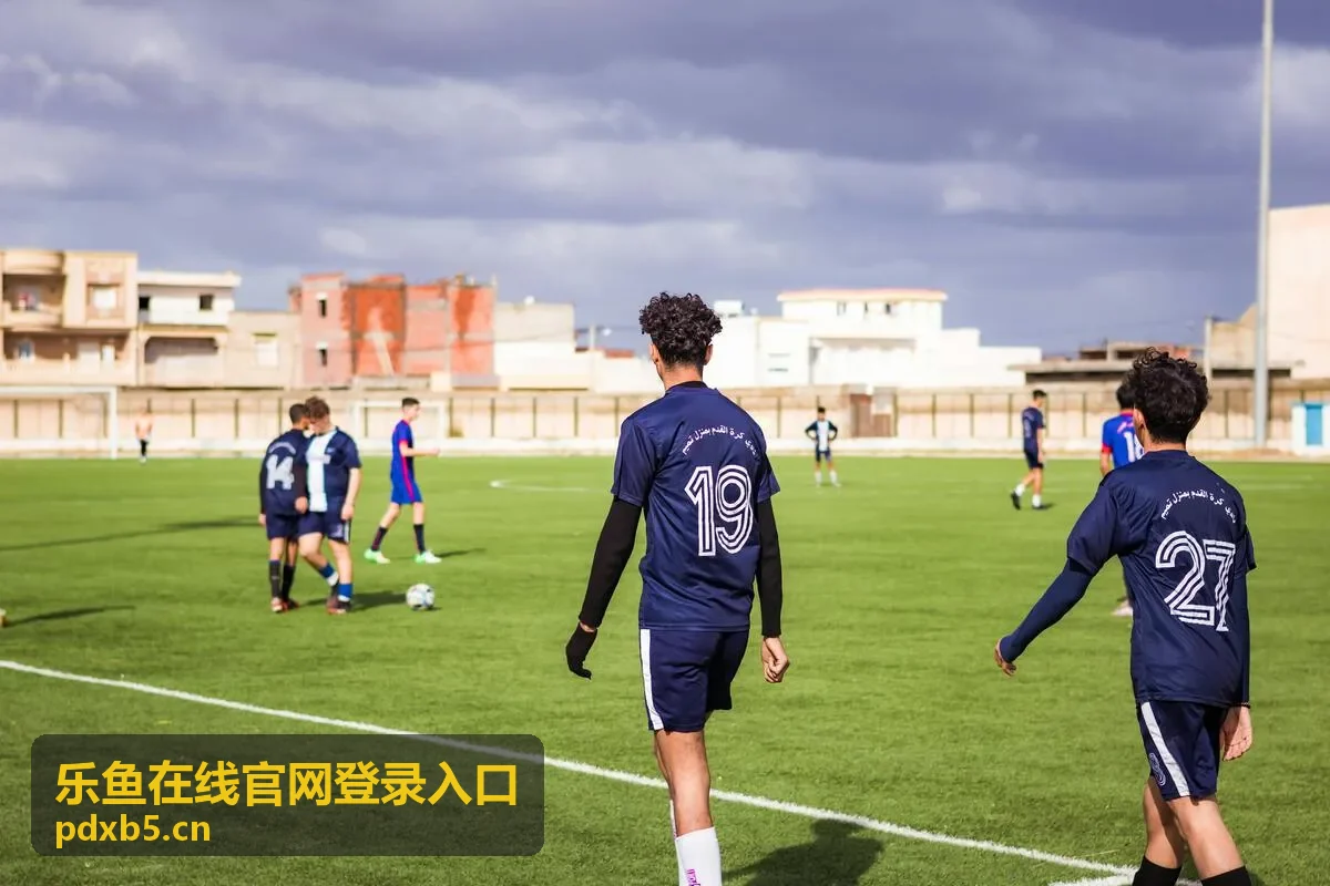 乐鱼在线官网登录入口账户安全与密码找回说明封面图